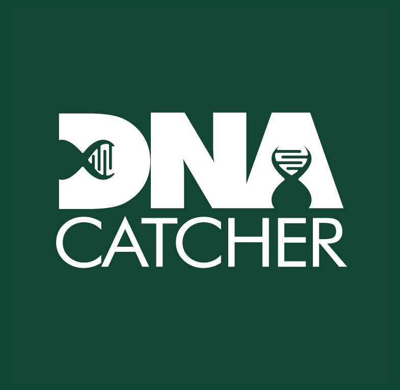 DNA Catcher